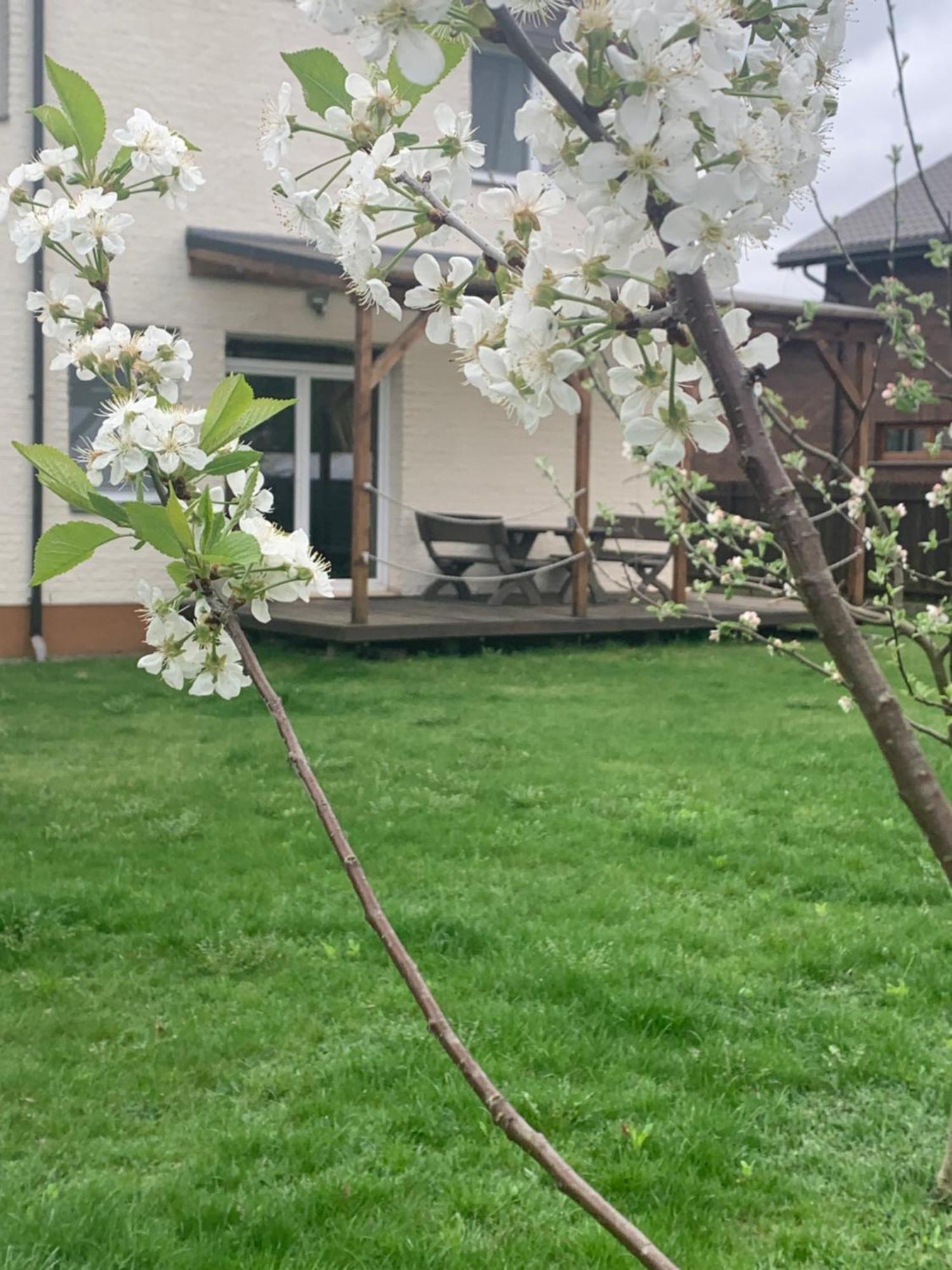 Apartament Pilaites Svetingi Namai Wilno Zewnętrze zdjęcie